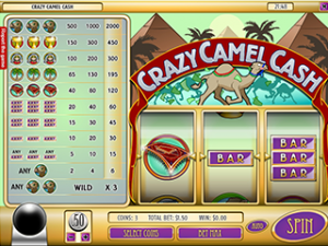 Crazy Camel Cash 16