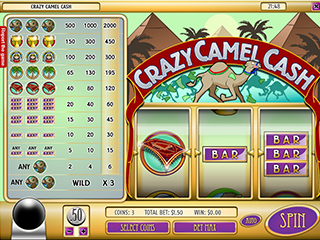 Crazy Camel Cash 1